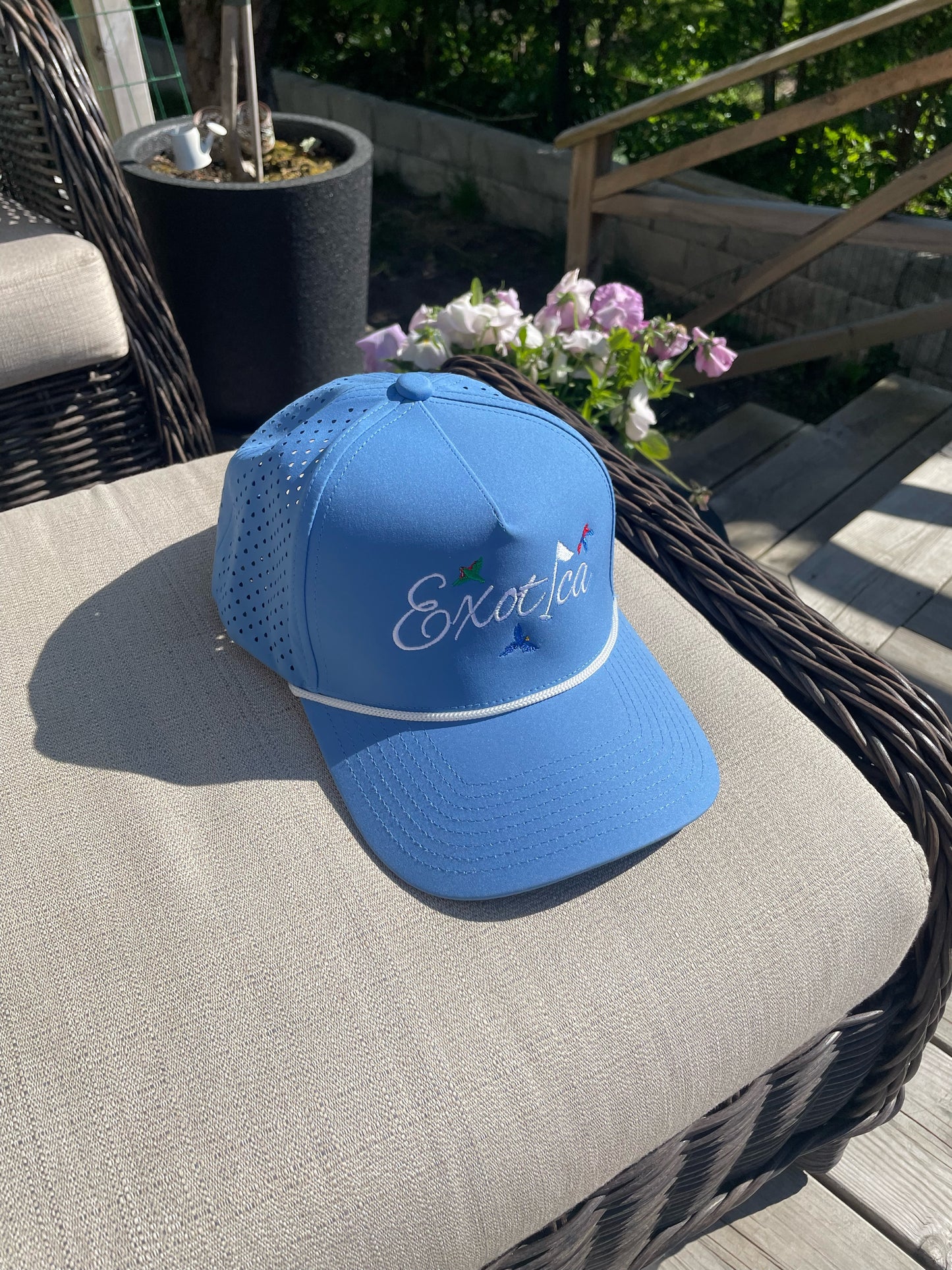 Birdie Blue ⭐⭐⭐⭐⭐